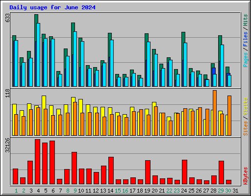 Daily usage for June 2024