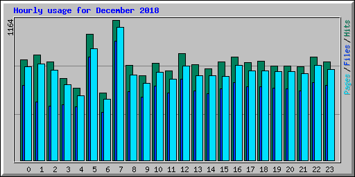 Hourly usage for December 2018