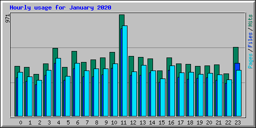 Hourly usage for January 2020