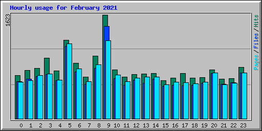 Hourly usage for February 2021