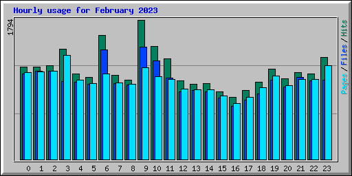 Hourly usage for February 2023