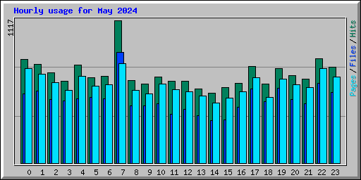 Hourly usage for May 2024