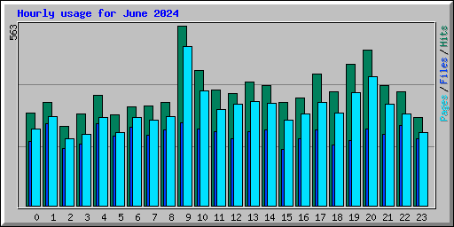 Hourly usage for June 2024