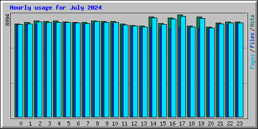 Hourly usage for July 2024