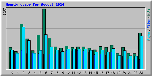 Hourly usage for August 2024