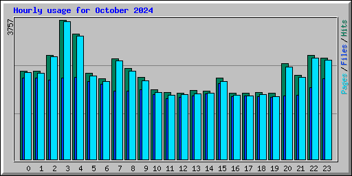 Hourly usage for October 2024