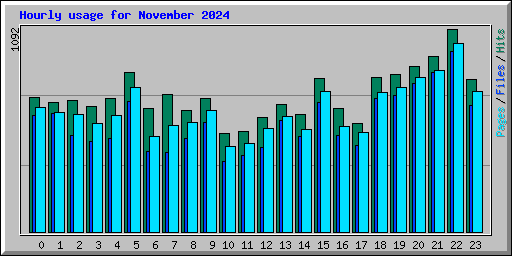 Hourly usage for November 2024