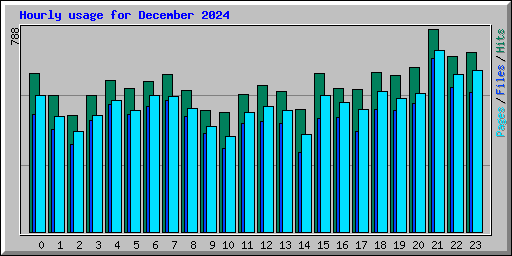 Hourly usage for December 2024