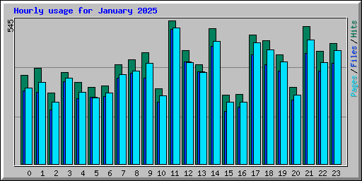 Hourly usage for January 2025